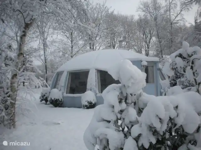 Igloo Safari | Pays-Bas, Brabant-Septentrional, Chaam - bungalow Passez Noël dans un igloo romantique. Situé dans un magnifique parc naturel
