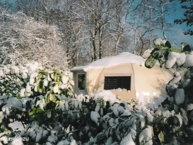 Igloo Safari | Pays-Bas, Brabant-Septentrional, Chaam - bungalow iglou en hiver