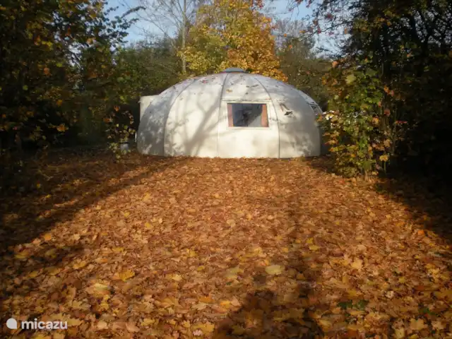 Igloo Safari | Pays-Bas, Brabant-Septentrional, Chaam - bungalow Mais le premier automne arrive