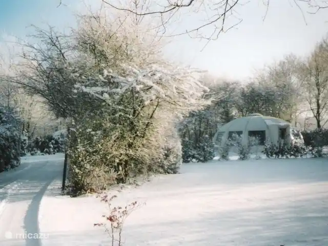 Igloo Safari | Pays-Bas, Brabant-Septentrional, Chaam - bungalow hiver