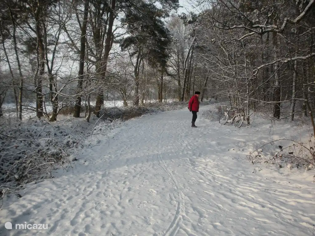 schöner Spaziergang im Schnee