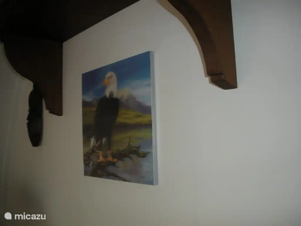 Raubvogel in der Safari