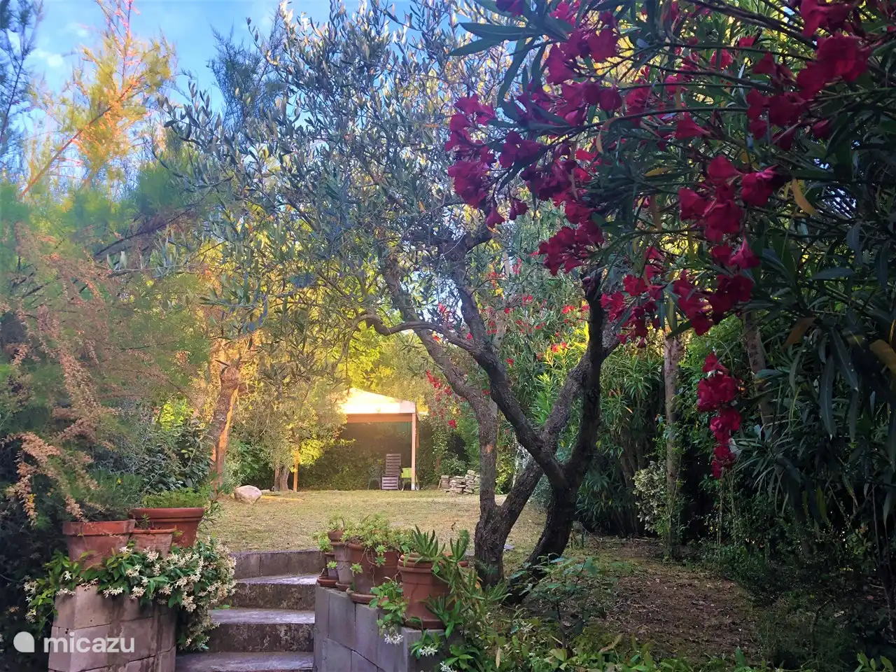 terraza de 20 m2 directamente debajo del balcón, balcón de aproximadamente 7 m2, en verano hermosos geranios y plantas en macetas en las escaleras al primer piso, hamaca colgante, maravillosa para tomar una copa para horas / escuchar ruiseñores por la noche!