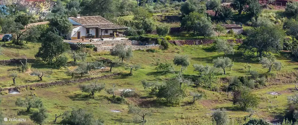 Panorama con libre ubicación Boa Terra entre olivos, algarrobos, higueras y almendros