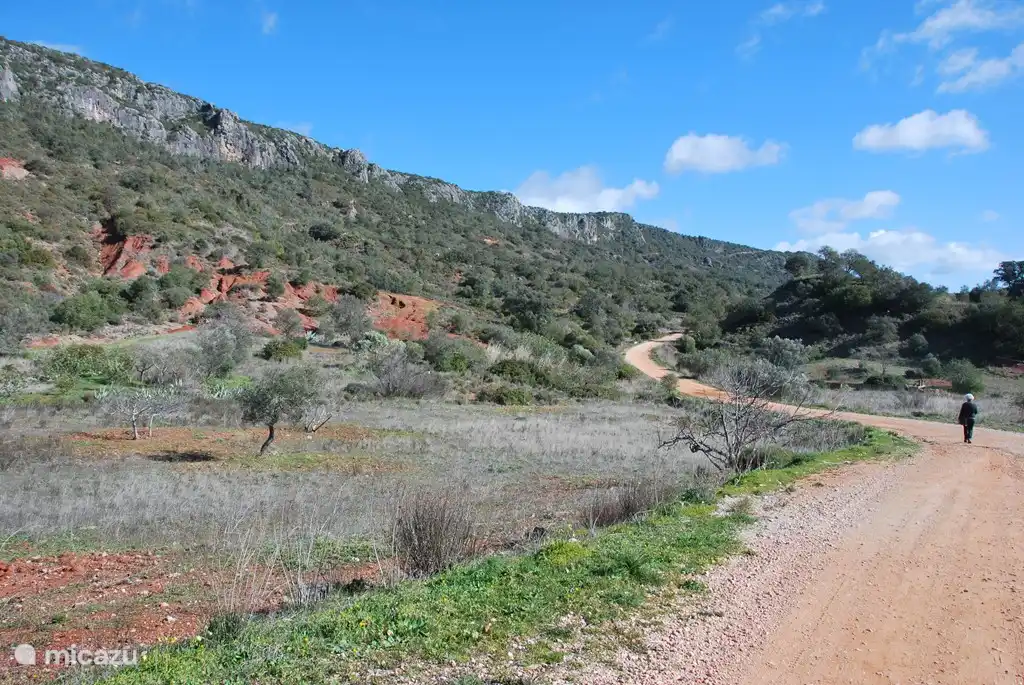 Hermoso es el paseo circular de 5 km de largo Rocha da Pena, una reserva natural protegida con hermosas vistas en la parte superior. Hay un bar a lo largo de la ruta en el pueblo de Rocha. El paseo es de unos 15 minutos desde Boa Terra.