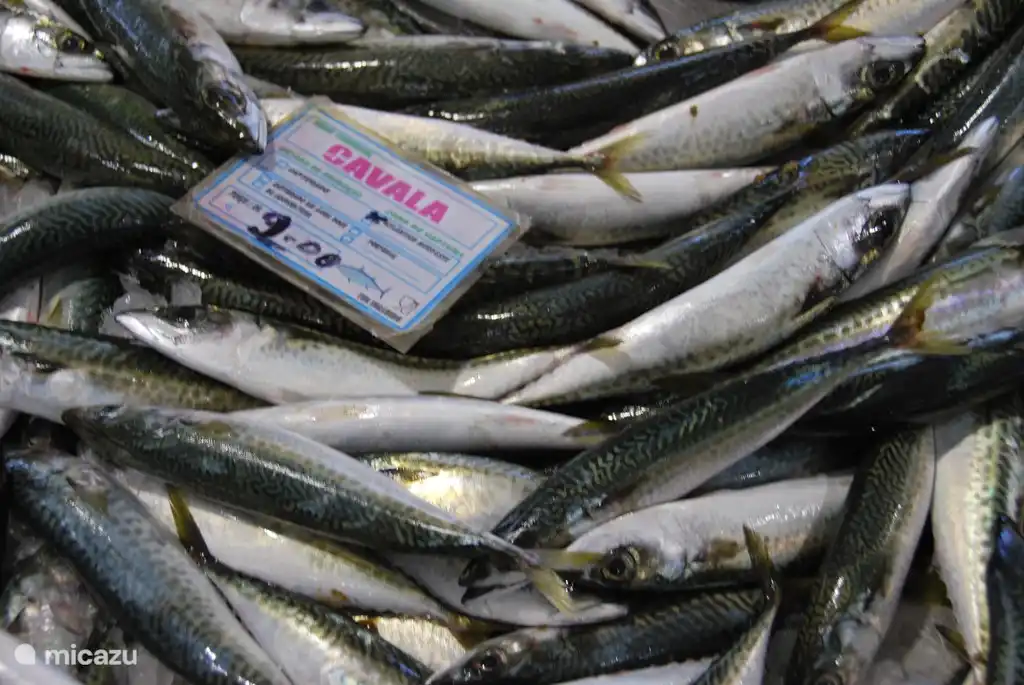 También se come mucho pescado. Por lo tanto, se puede encontrar en los mercados y en gran variedad.