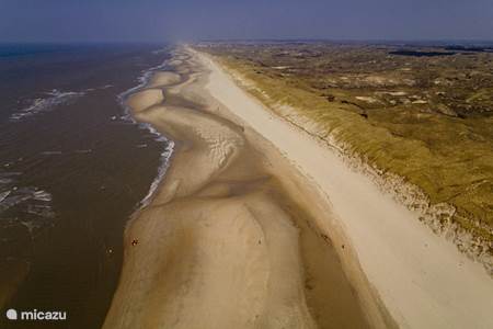 The North Holland Dune Reserve