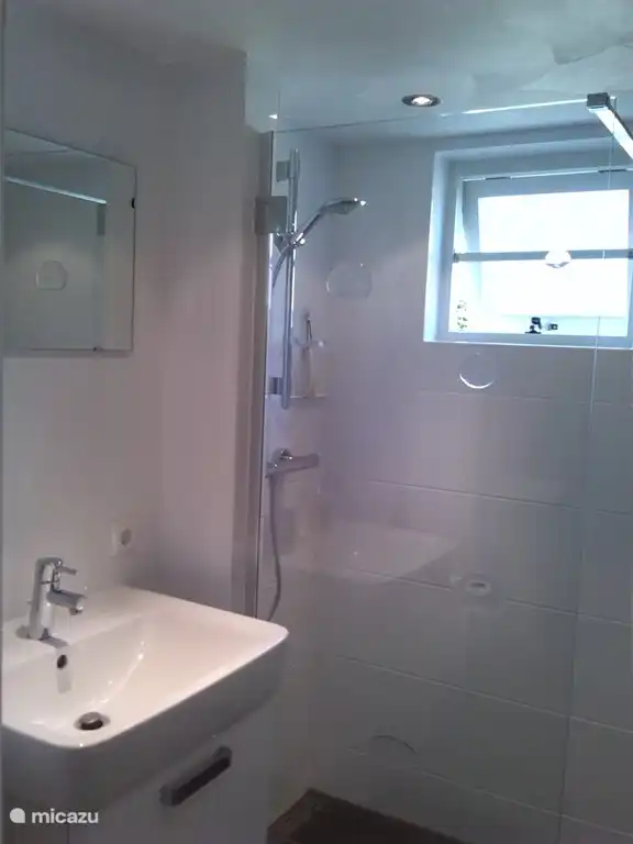 Luxury bathroom with walk in shower