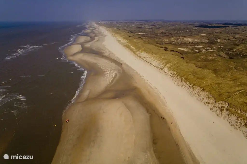 The beautiful North Holland Dune Reserve