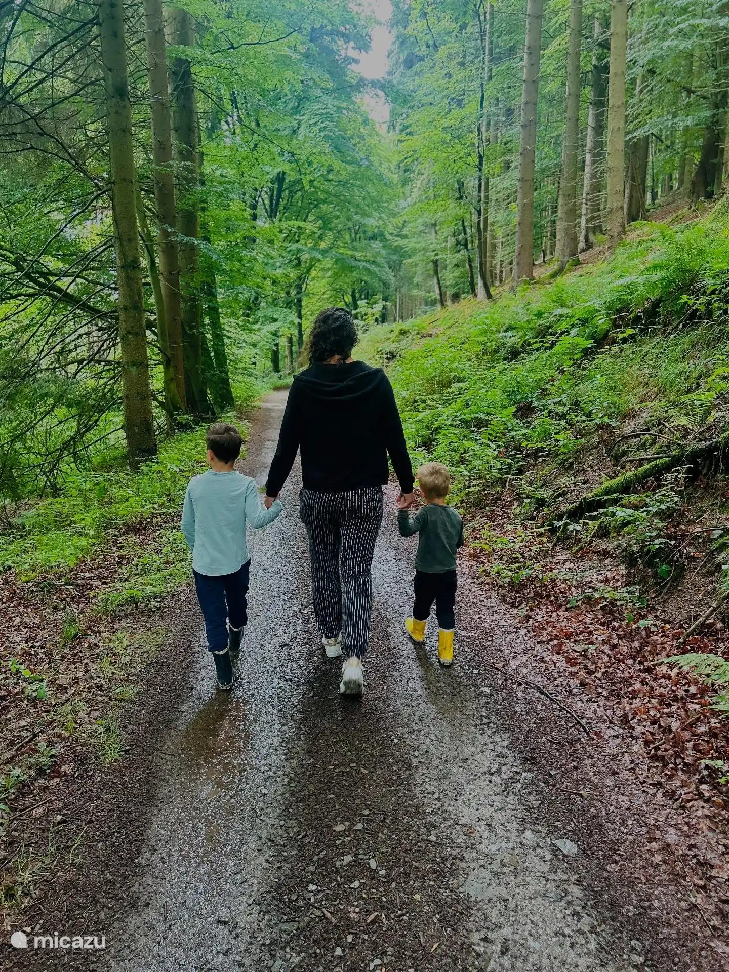 Heerlijk wandelen door de bossen, direct vanuit de woning