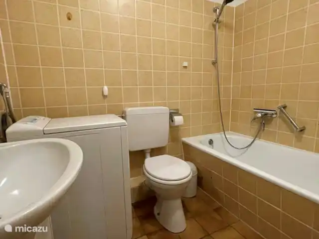 Maison Bergzicht | Allemagne, Sauerland, Willingen - appartement Le Sanitaire de l'appartement : une salle de bain avec WC, lavabo et baignoire/douche. Il y a aussi une machine à laver dans la salle de bain.