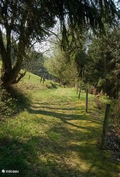 Der Wanderweg direkt oberhalb der Wohnung; Sie können direkt in den Wald gehen!