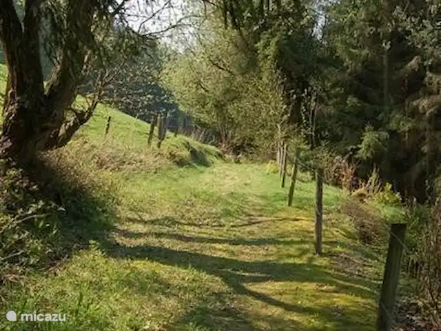 Maison Bergzicht | Allemagne, Sauerland, Willingen - appartement Le sentier pédestre directement au-dessus de l'appartement ; Vous entrez directement dans la forêt !