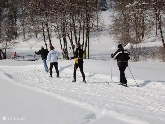 Maison Bergzicht | Allemagne, Sauerland, Willingen - appartement Il y a de belles pistes pour le ski de fond dans la région