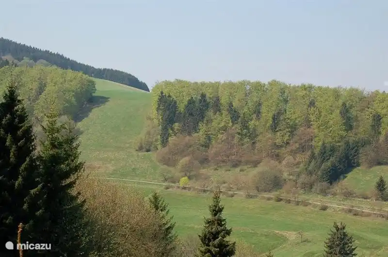 Die Aussicht im Sommer