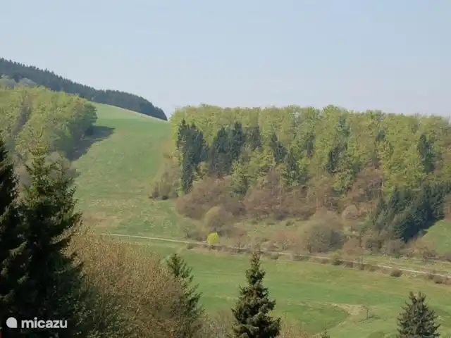 Maison Bergzicht | Allemagne, Sauerland, Willingen - appartement La vue en été