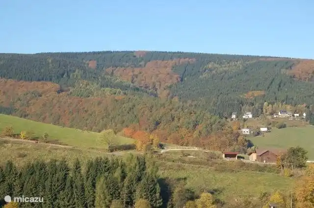 Auch dieses Foto wurde aus der Wohnung aufgenommen. Nicht nur im Winter und Sommer ist es sehr schön. Wie Sie sehen, ist es im Herbst wie ein lebendiges Gemälde!