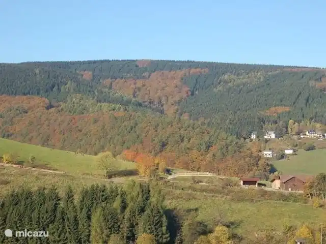 Maison Bergzicht | Allemagne, Sauerland, Willingen - appartement Cette photo a également été prise depuis l'appartement. Ce n'est pas seulement très beau en hiver et en été. Comme vous pouvez le voir : en automne, c'est comme un tableau vivant !
