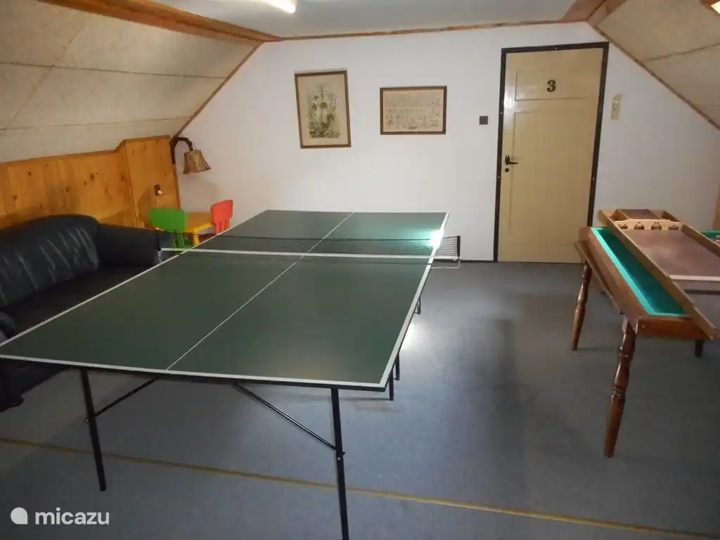 La espaciosa sala de juegos con tenis de mesa, billar, tejo y rincón infantil