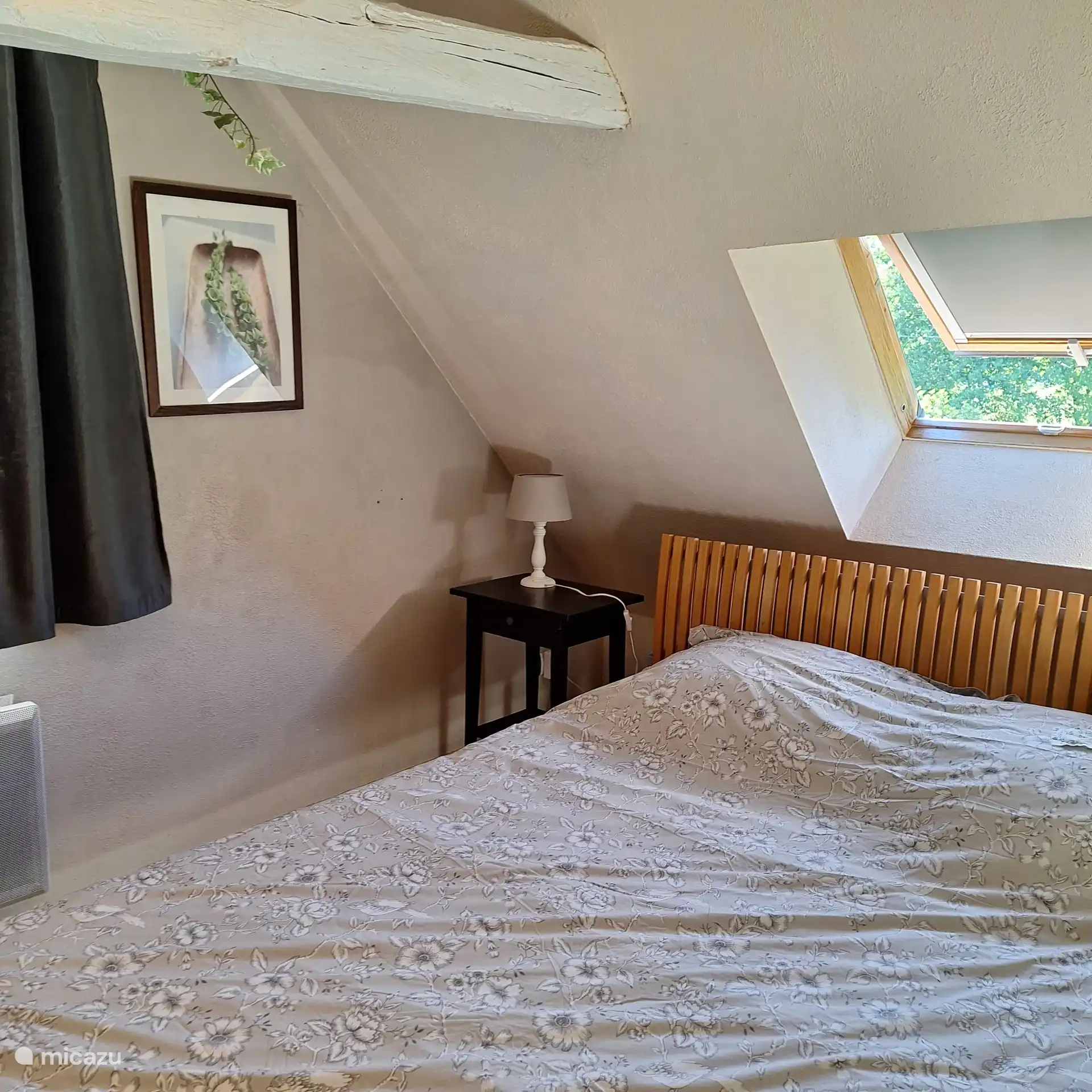 Vanuit bed kan u de sterren kijken 