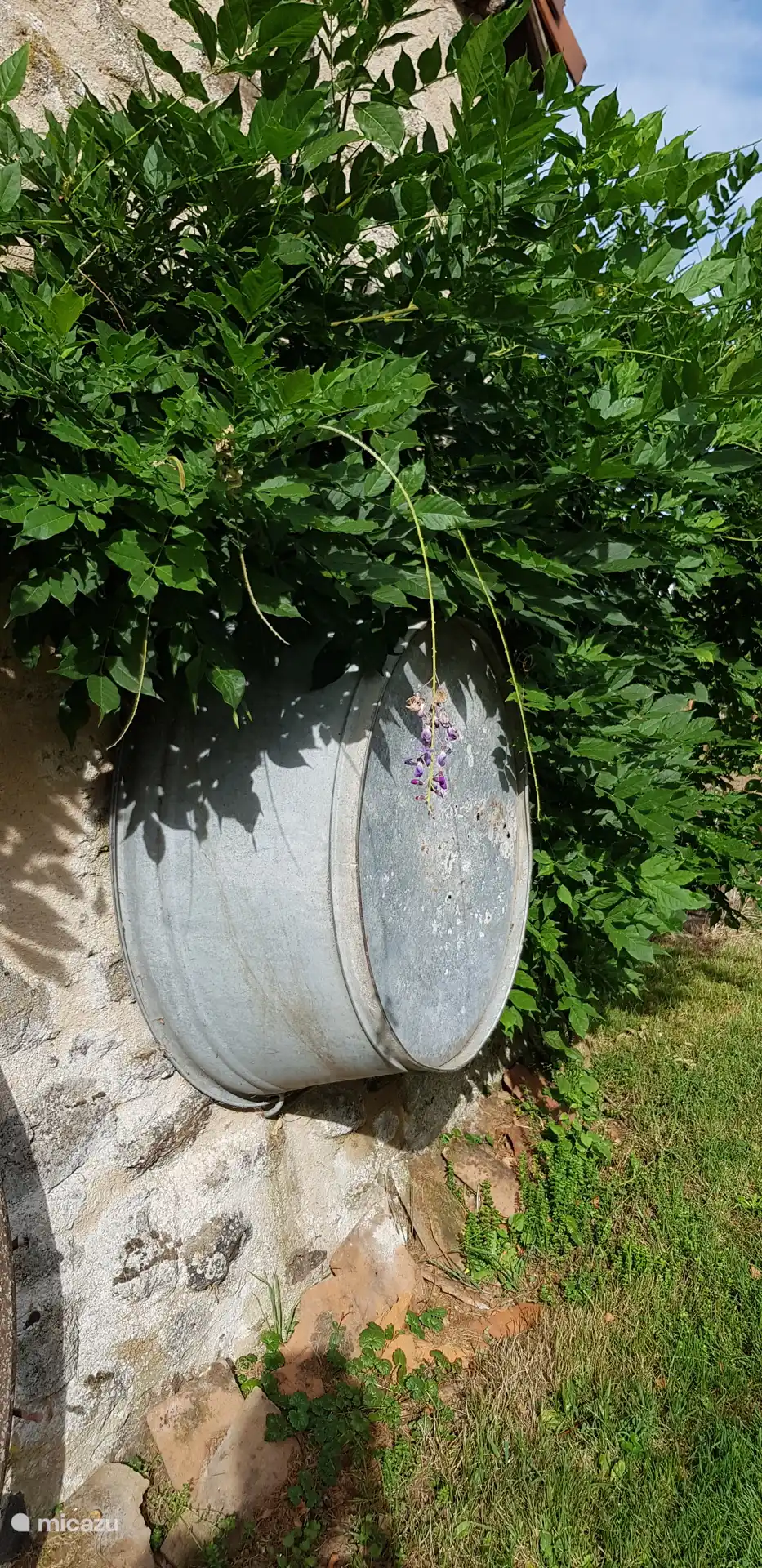 old tub on the wall along the path
