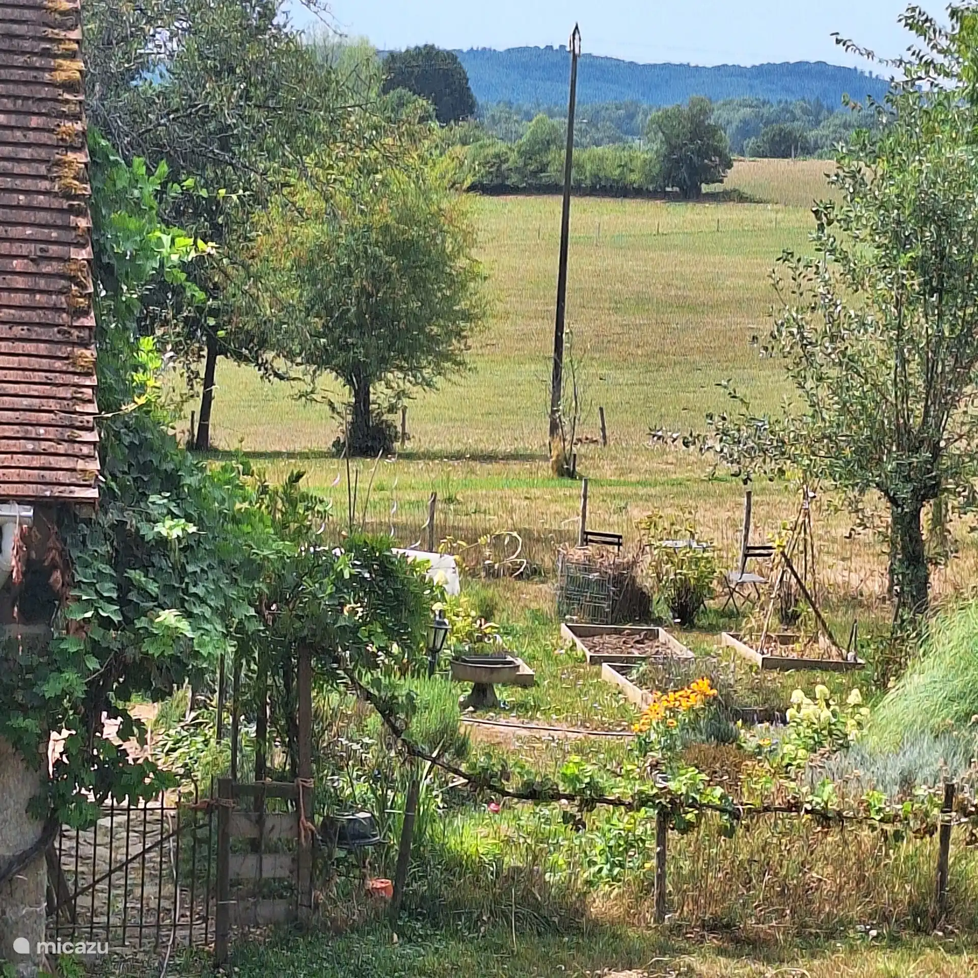 View from the bedroom window on our vegetable garden 