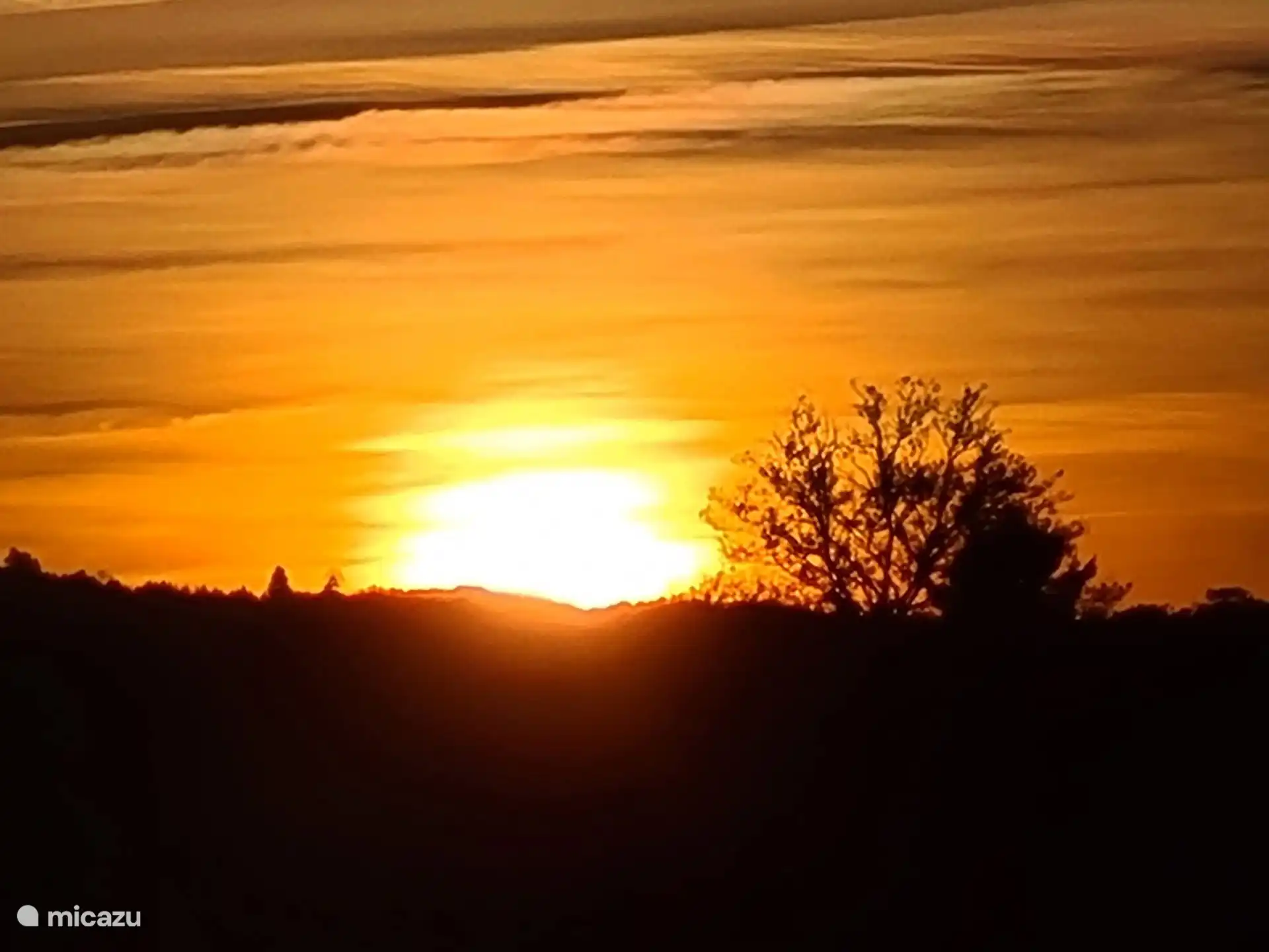 Enjoying the setting sun 