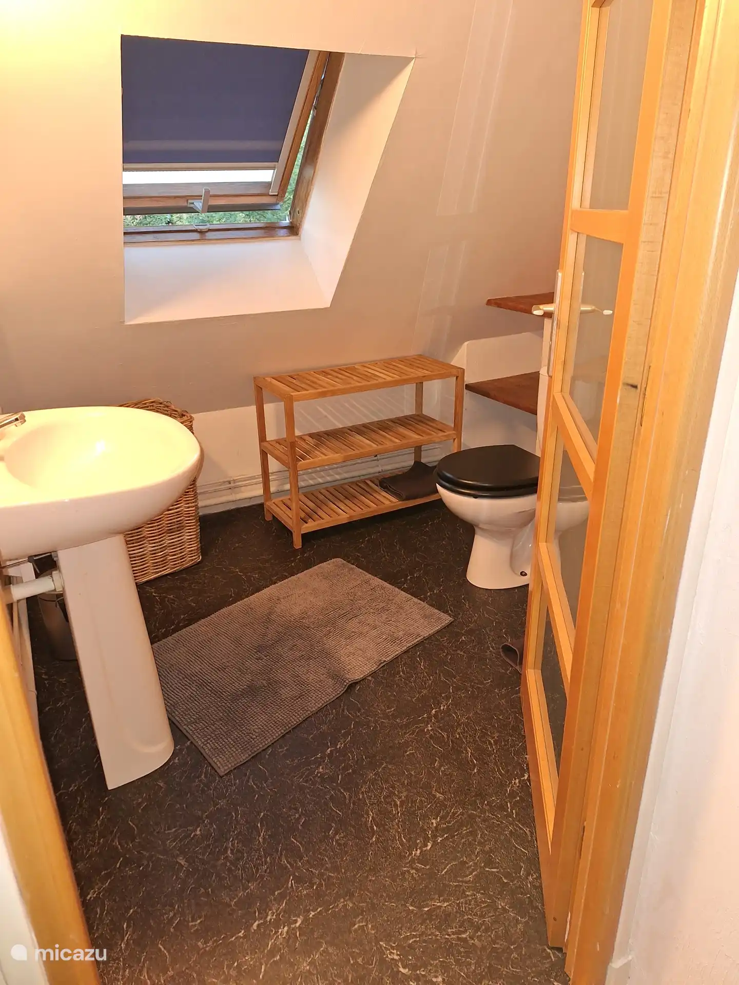 Bathroom with sink, second toilet and shower
