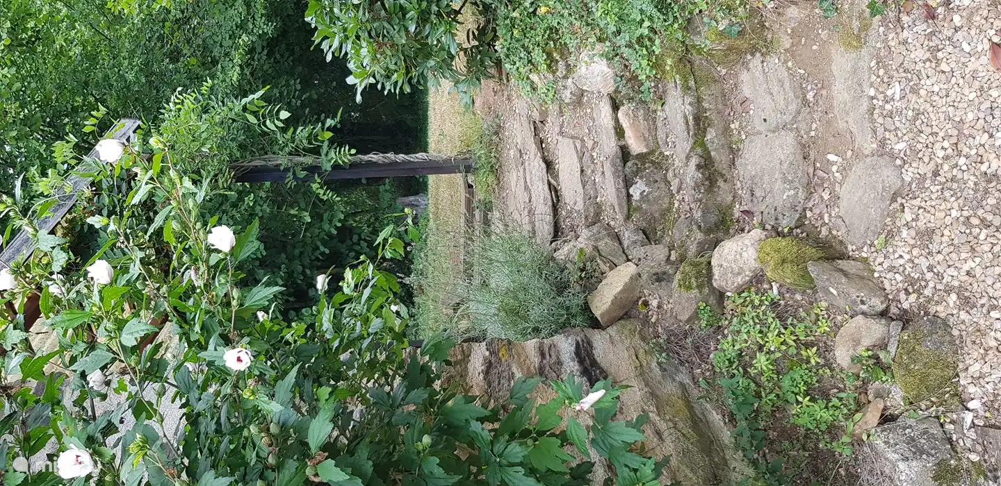 Via the steps at the front terrace you reach the rear garden with covered terrace