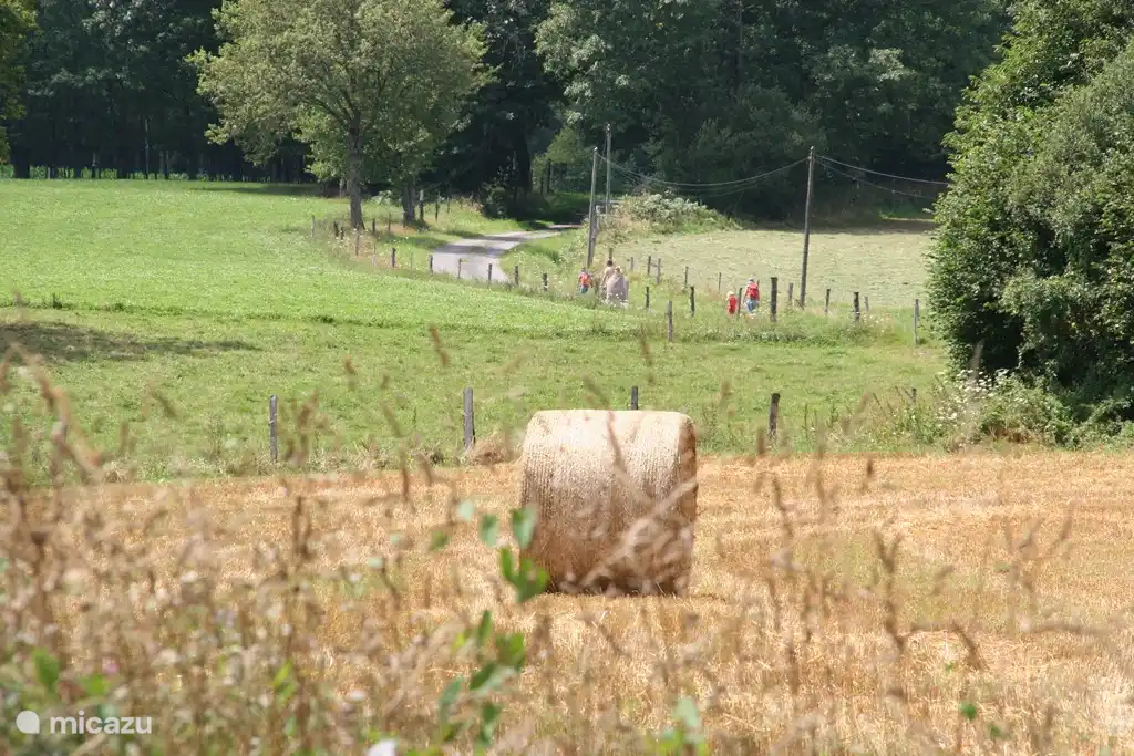 Walking from Le Montet, there are area maps to borrow