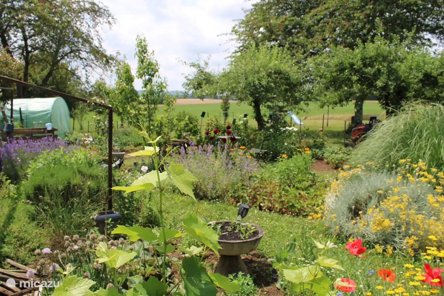 Our vegetable and flower garden on the other side of the road