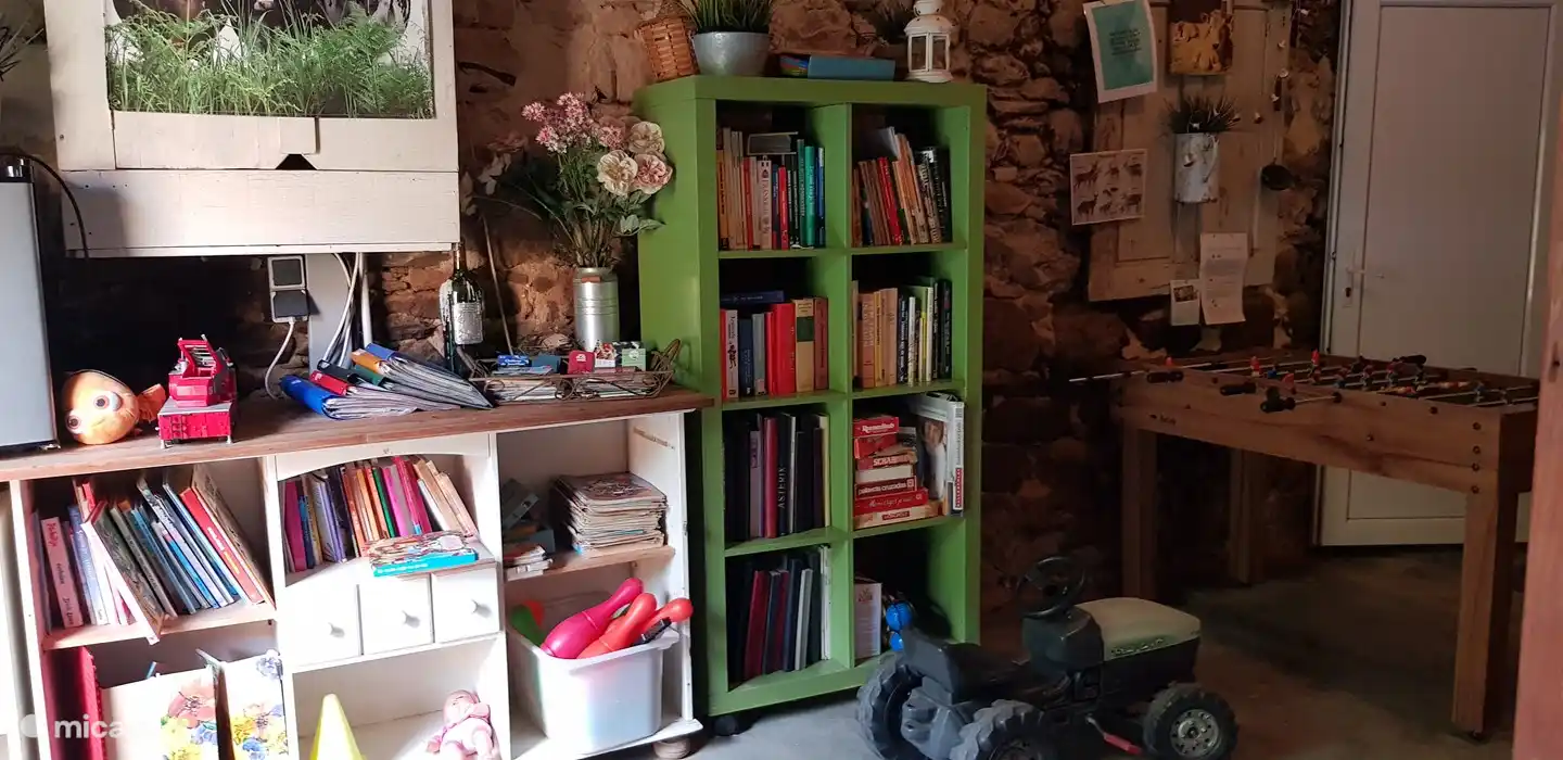 books and games cabinet