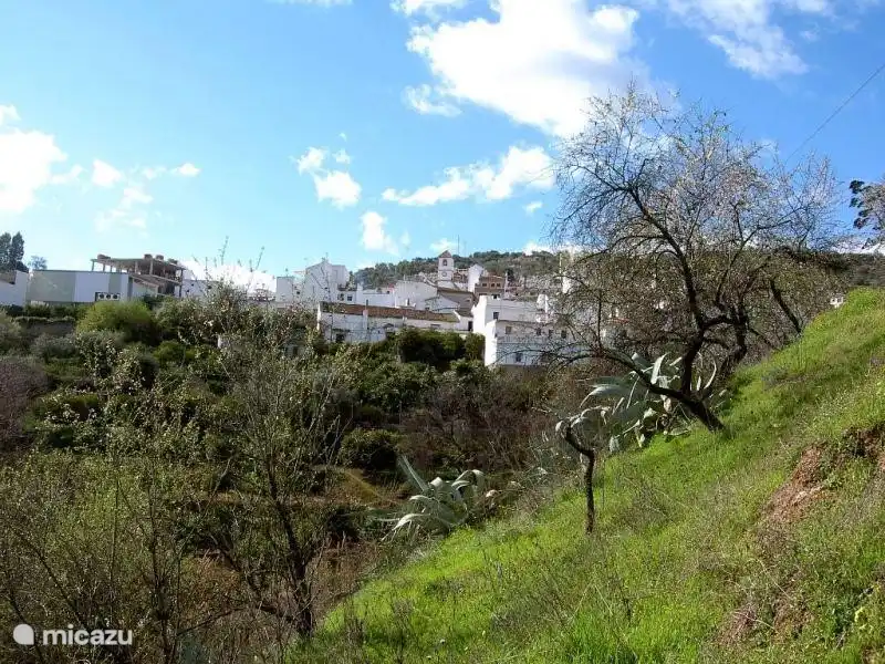 Zona verde de Guaro, donde disfrutar paseando