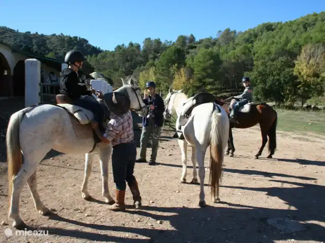 Location de Vacances Espagne, Andalousie, Guaro, maison de vacances - Casa Sonrisa Équitation dans la Sierra de las Nieves - El Burgo