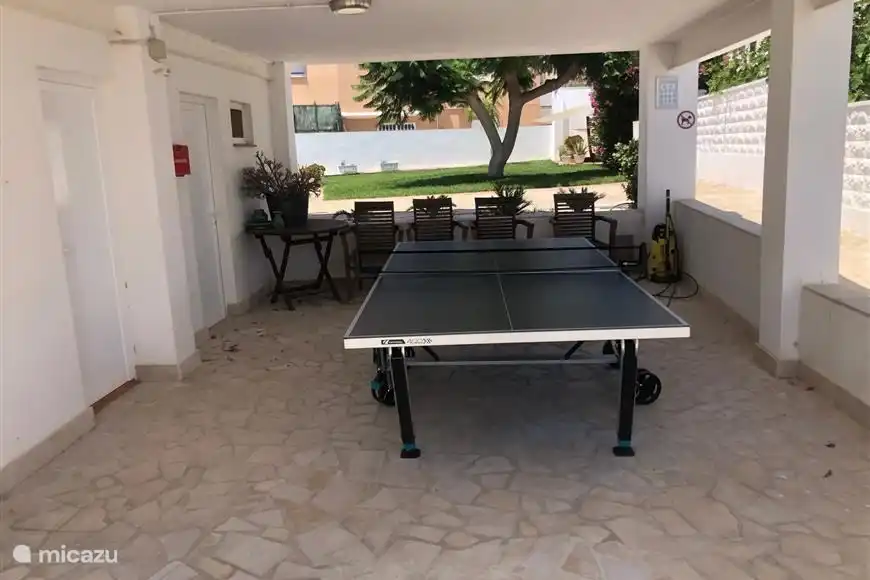 A little sport can't hurt