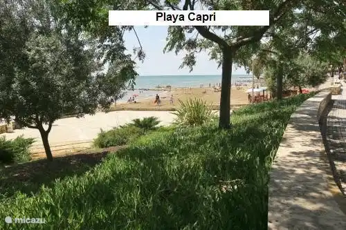 Playa Capri,
Dieser Strand ist ein Strand s'zomers Tendenzen wo Sie einen Drink oder einen Snack unter einem Sonnenschirm genießen können.