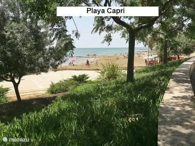 Casas Sitori Appartement 4 | Espagne, Costa Dorada, La Ràpita - appartement Plage de Capri,
En été, il y a un bar de plage sur cette plage où vous pourrez prendre un verre ou une collation sous un parasol.