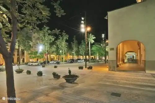 Plaza Carlos III (Mitte st Carles)