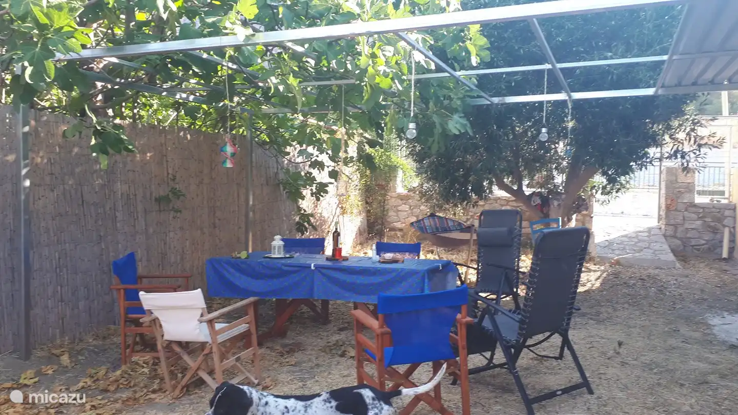The pergola, covered by the neighbor's fig tree, provides shade. Pleasant evenings with food and drink together. lights on when it gets dark.