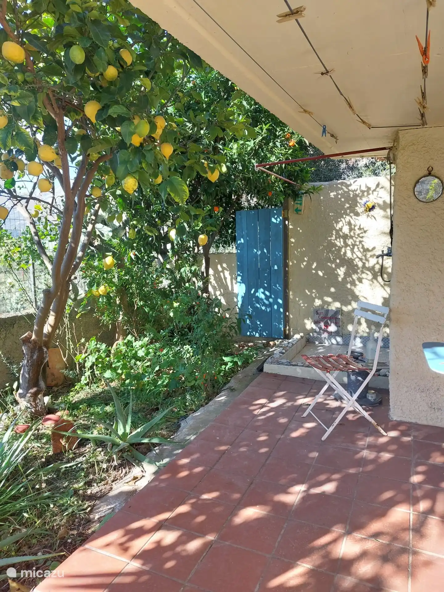 Backyard with fruit trees and an outdoor shower