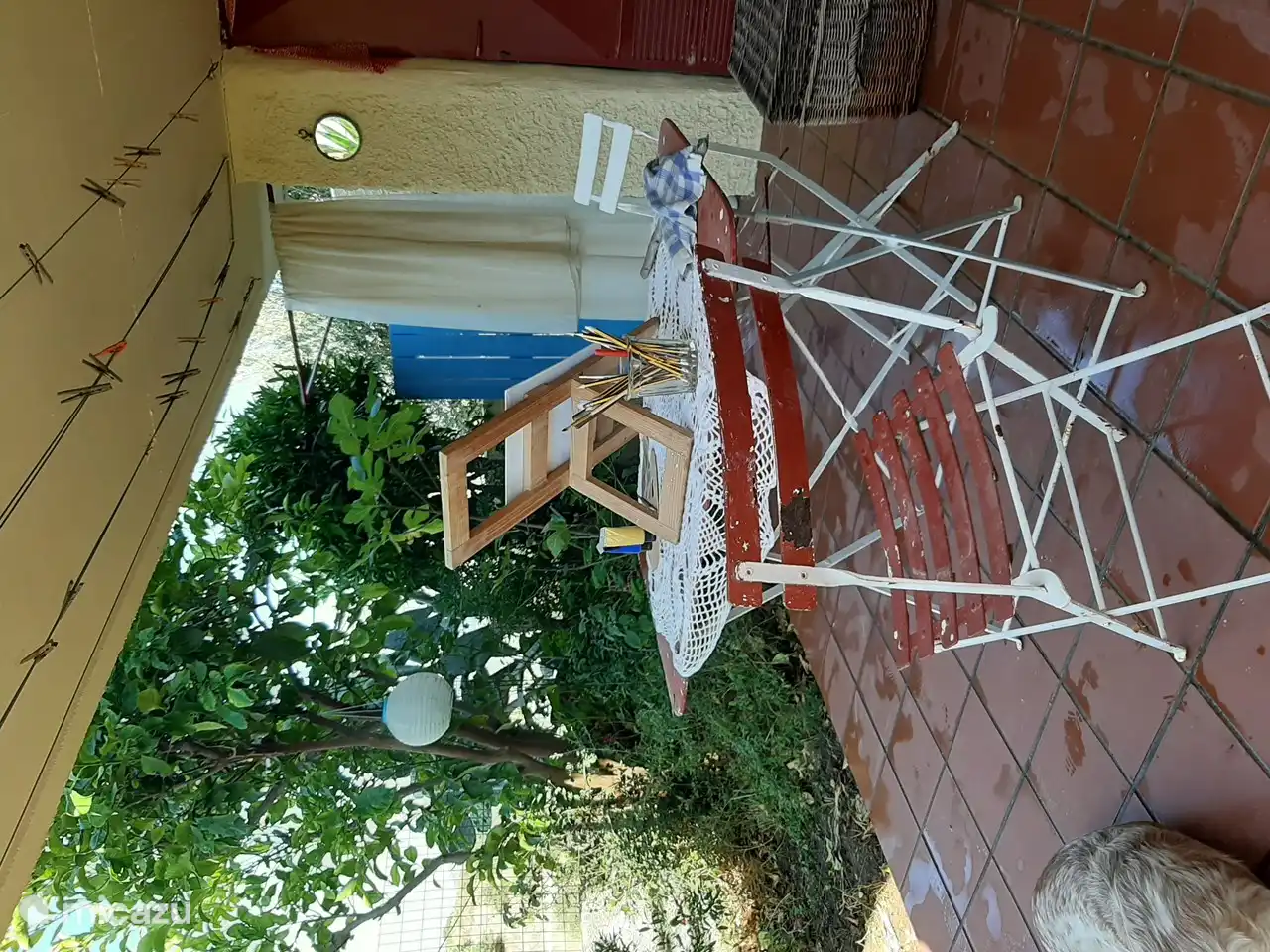 painting in the backyard