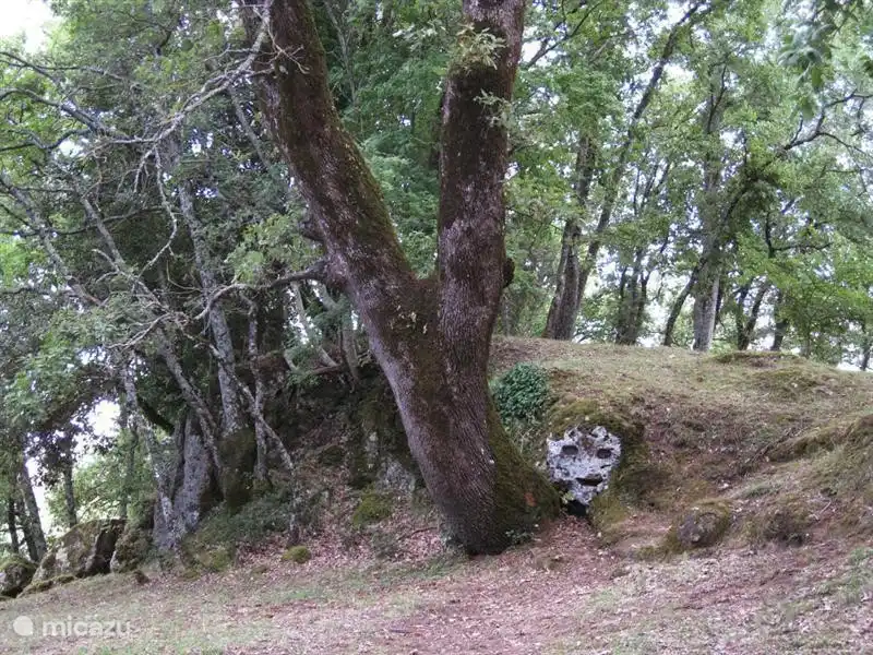 San Rocco, gegenüber Sorano, mit mehreren Gräbern aus der Zeit der Etrusker zB.