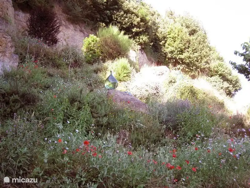 Wohnsiedlung in Sorano