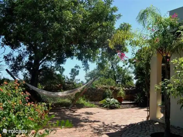 Mae Home en Portugal, Algarve, Quelfes - villa Hamaca bajo un algarrobo en una terraza que rodea el jardín
