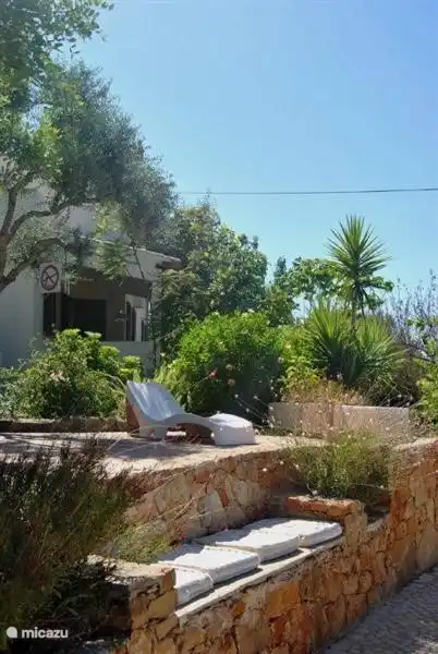 Nur wenige Schritte von der Terrasse auf den Pool unter der Carobtree
