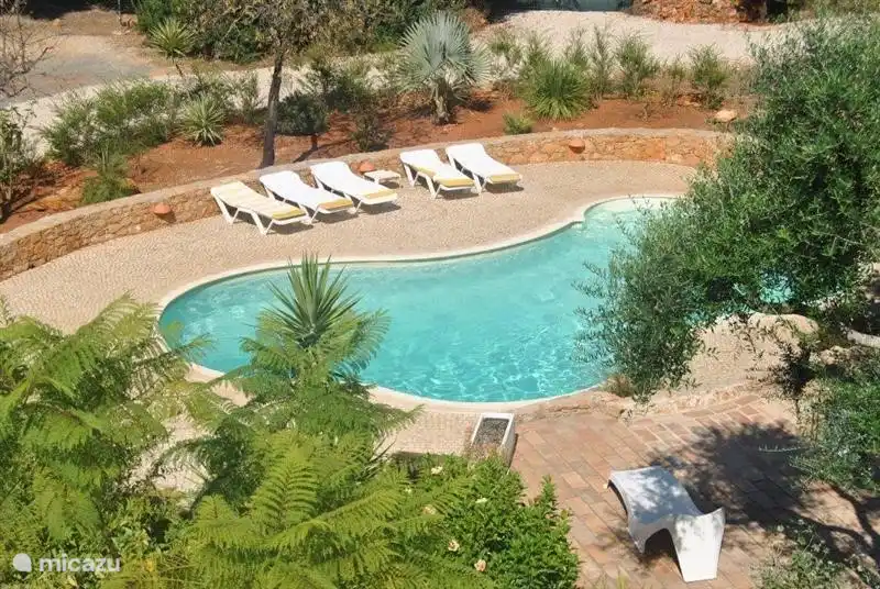 sitzen unter einem Carobtree am Pool