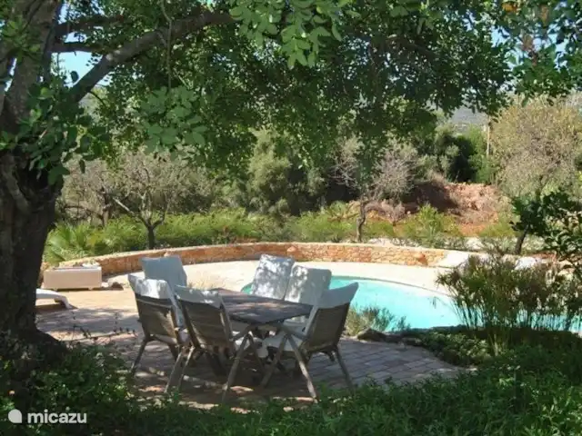 Mae Home en Portugal, Algarve, Quelfes - villa sentarse bajo un algarrobo junto a la piscina