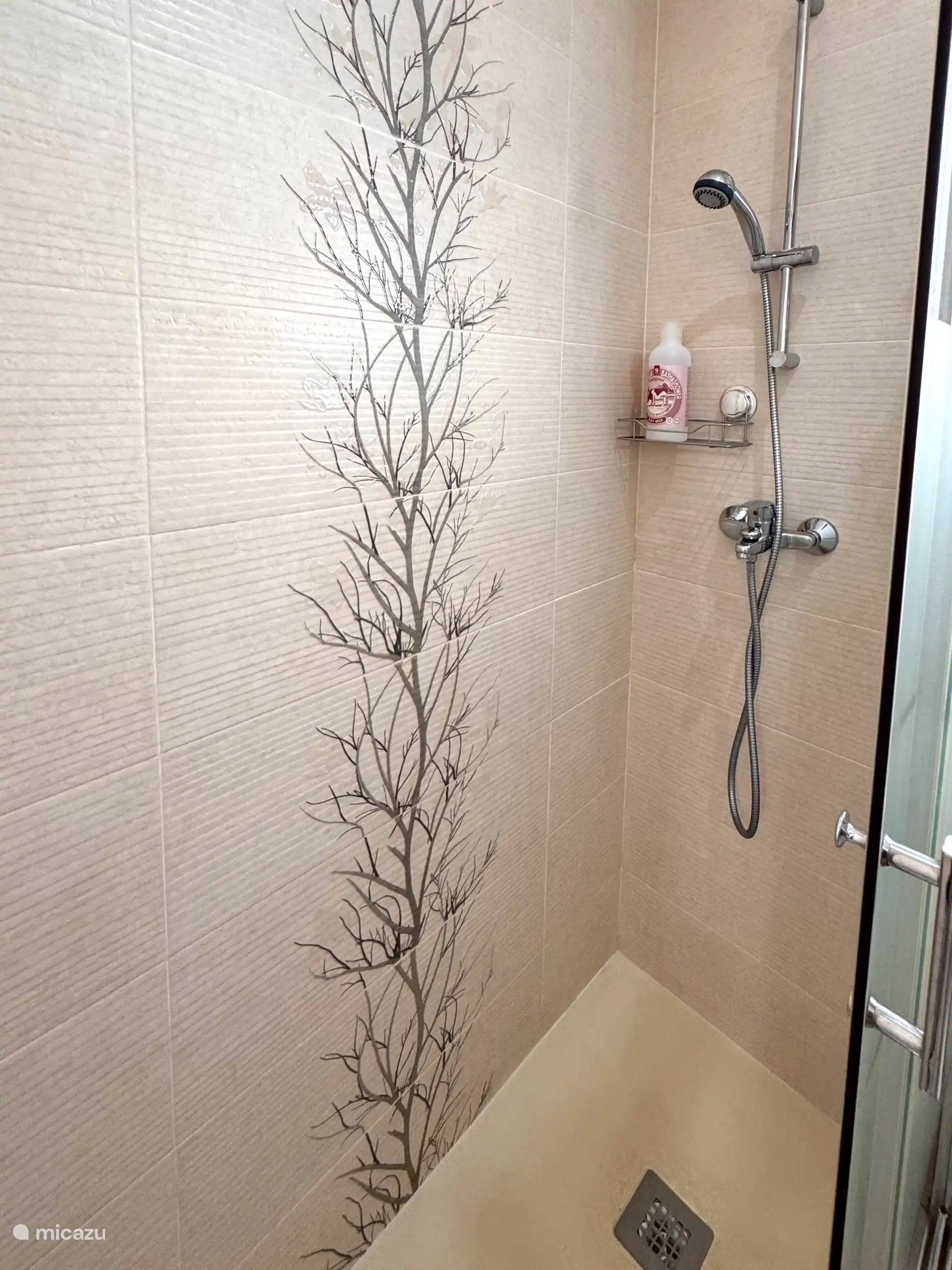 Geräumige ebenerdige Dusche 