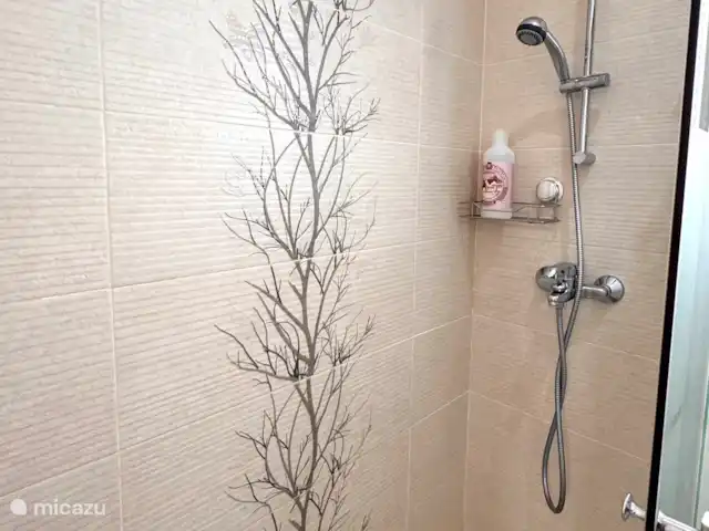 Nortico 5-app28 huren in Spanje, Costa Blanca, Torrevieja - appartement Ruime inloop douche