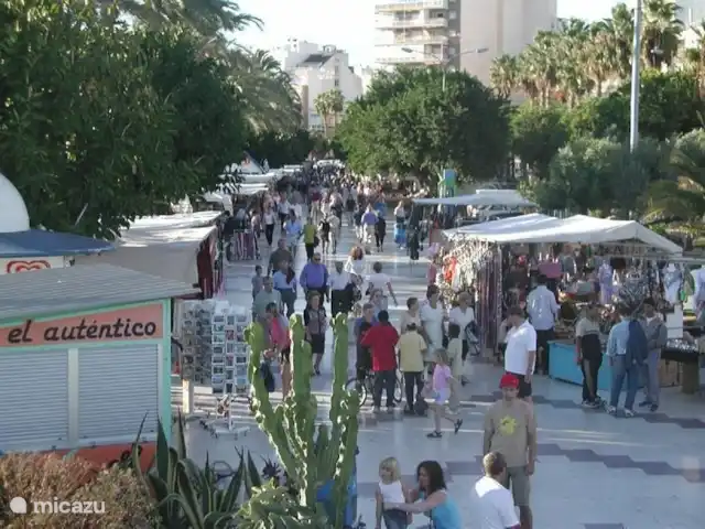 Nortico 5-app28 huren in Spanje, Costa Blanca, Torrevieja - appartement iedere dag afri-markt